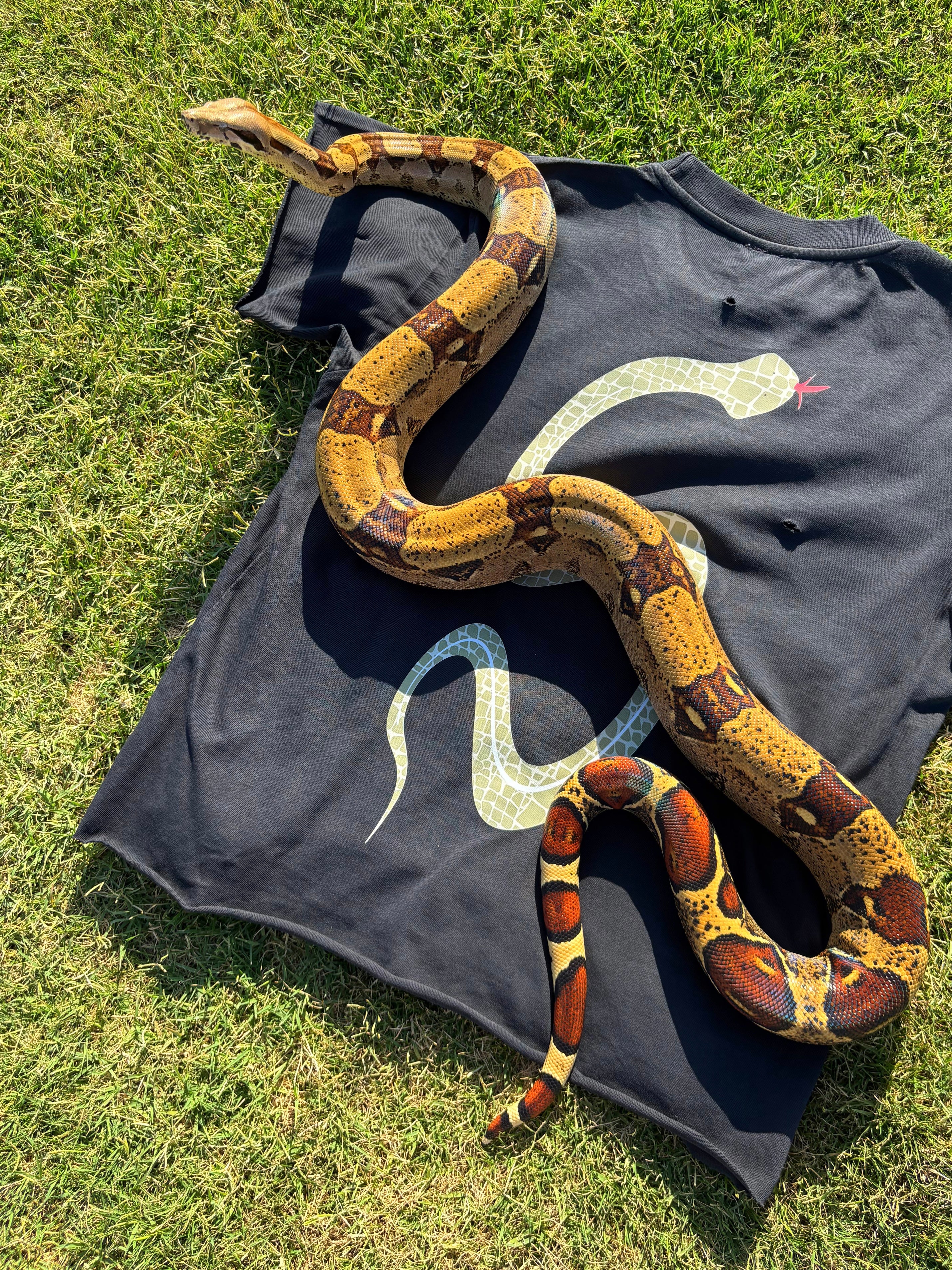 Sidewinder Tee