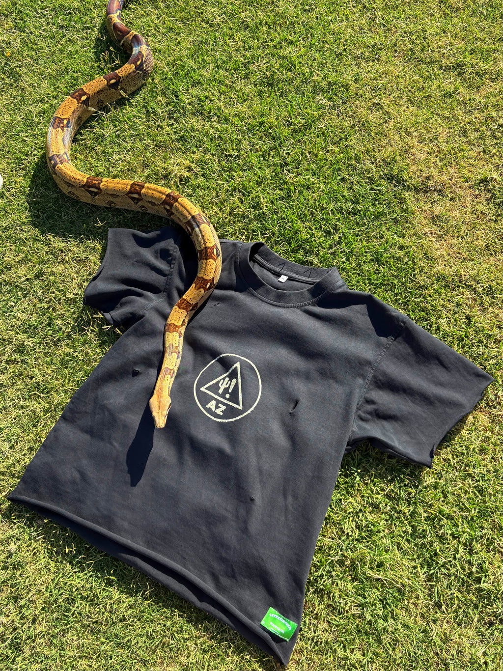 Sidewinder Tee
